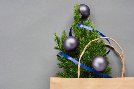 Coniferous tree in paper bag. Christmas composition. gift or purchase for new year. Christmas tree...
