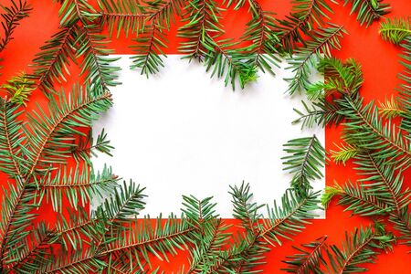 Christmas composition on red background.Paper blank, christmas tree branches, Copy space for text. Flatlay for designers. Top view, Greeting Card mock up.の写真素材