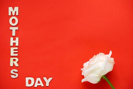Composition as frame with inscription mother's Day in wooden letters on plain red background with white rose. International mother's day. Flatlay. Copy space. Stylish soft image.White big roseの写真素材