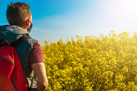 Back of European man traveler near yellow flowering rapeseed field on sunny day. happy man outdoors...