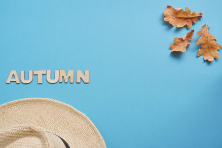 Summer hat and dry oak leaves with Woody school inscription.back to school or kindergarten....