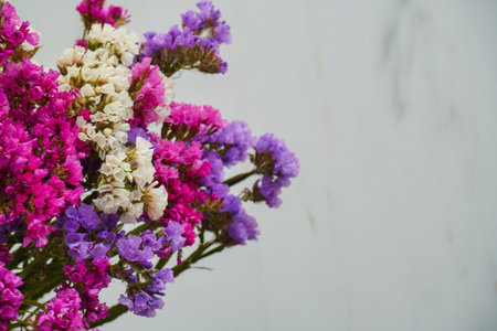 Dry colorful flowers on the white background. Autumn home decoration, floristic frame. Close up with...