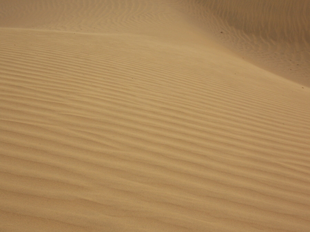 SAND IN THAR DESERTのeditorial素材