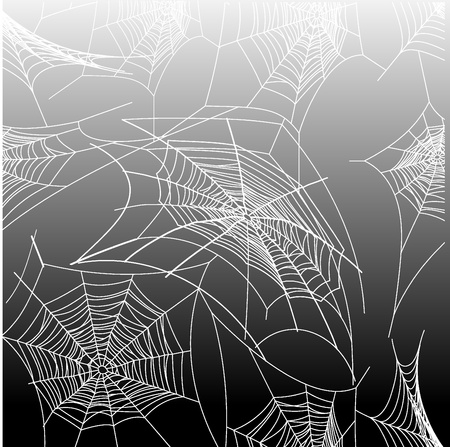 spiderwebのイラスト素材