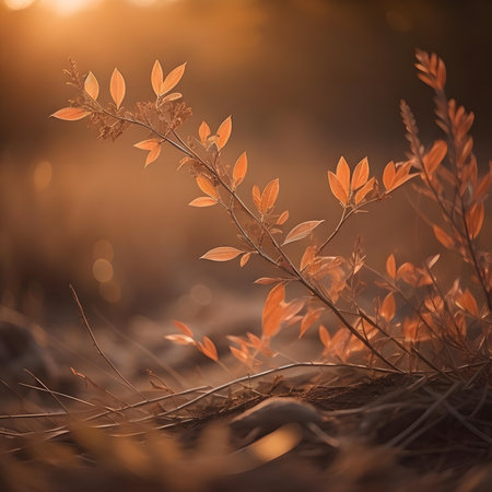 Autumn background with grass and bokeh lights. Autumn conceptの素材