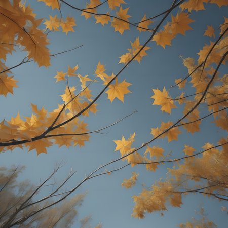 Autumn background with yellow maple leaves and blue sky, retro tonedの素材