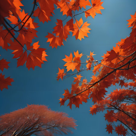 Autumn maple leaves with blue sky background, selective focus, tonedの素材