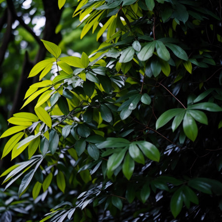 Green leaves in the forest. Selective focus and shallow depth of field. generative aiの素材