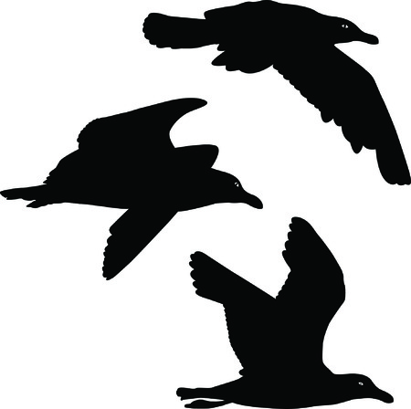 seagulls flyingのイラスト素材