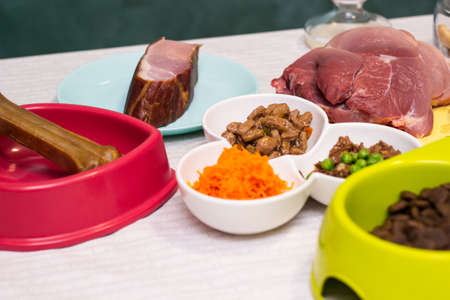 Preparing natural organic food for pets at home. Raw ingredients for pet food in bowlの写真素材