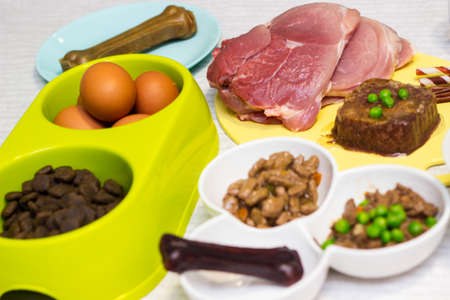 Preparing natural organic food for pets at home. Raw ingredients for pet food in bowlの写真素材