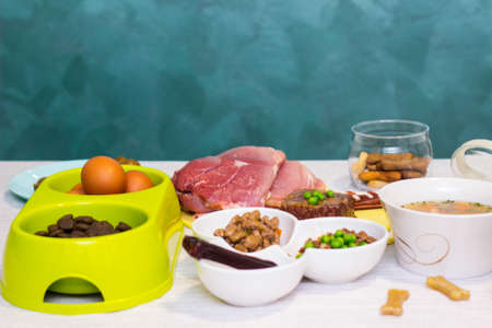 Preparing natural organic food for pets at home. Raw ingredients for pet food in bowlの写真素材