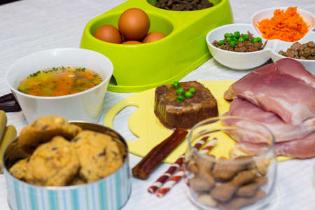 Preparing natural organic food for pets at home. Raw ingredients for pet food in bowlの写真素材