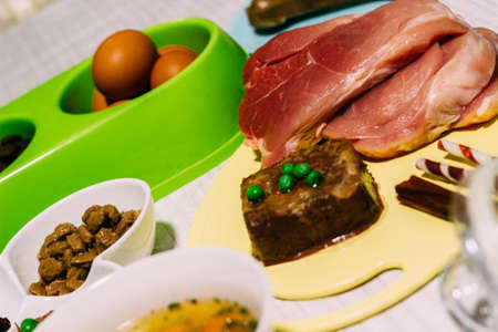 Preparing natural organic food for pets at home. Raw ingredients for pet food in bowlの写真素材