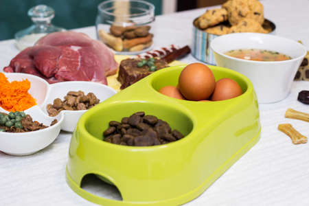Preparing natural organic food for pets at home. Raw ingredients for pet food in bowlの写真素材