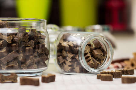Dog treats spilling out of bowl. Dog treats and biscuitsの写真素材