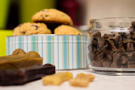 Dog treats spilling out of bowl. Dog treats and biscuitsの写真素材