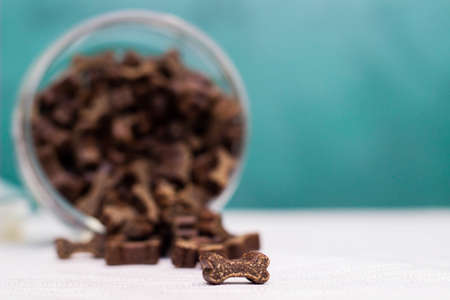 Dog treats spilling out of bowl. Dog treats and biscuitsの写真素材