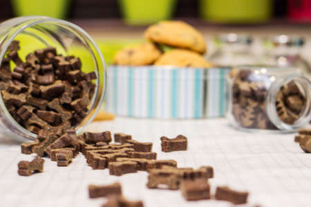 Dog treats spilling out of bowl. Dog treats and biscuitsの写真素材