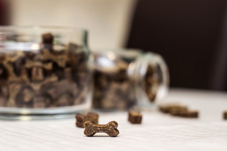 Dog treats spilling out of bowl. Dog treats and biscuitsの写真素材