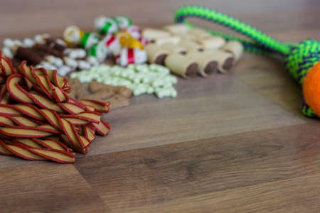 Dog tasty colored biscuits on wooden background, snacks for dogs. Healthy dry pet food conceptの写真素材