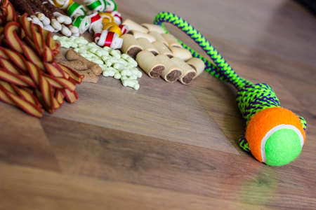 Dog tasty colored biscuits on wooden background, snacks for dogs. Healthy dry pet food conceptの写真素材