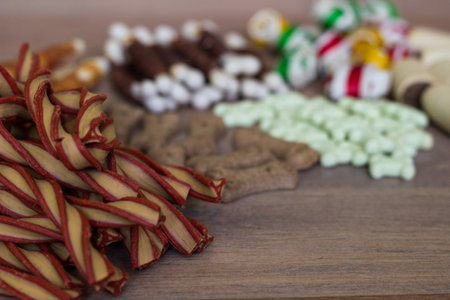 Dog tasty colored biscuits on wooden background, snacks for dogs. Healthy dry pet food conceptの写真素材