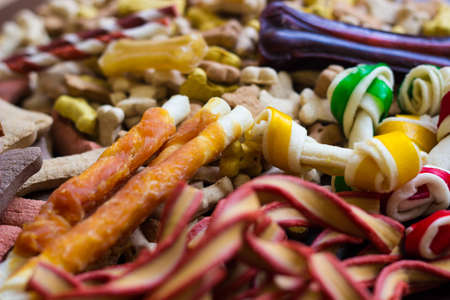 Dog tasty colored biscuits on wooden background, snacks for dogs. Healthy dry pet food conceptの写真素材