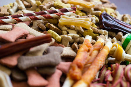 Dog tasty colored biscuits on wooden background, snacks for dogs. Healthy dry pet food conceptの写真素材