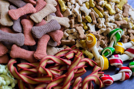 Dog tasty colored biscuits on wooden background, snacks for dogs. Healthy dry pet food conceptの写真素材