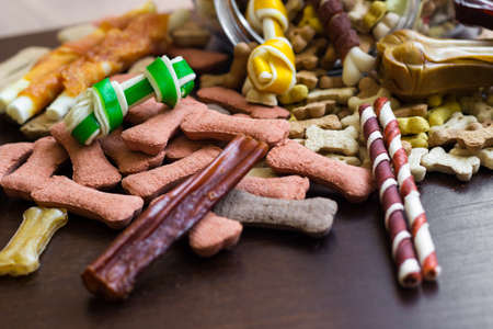Dog tasty colored biscuits on wooden background, snacks for dogs. Healthy dry pet food conceptの写真素材