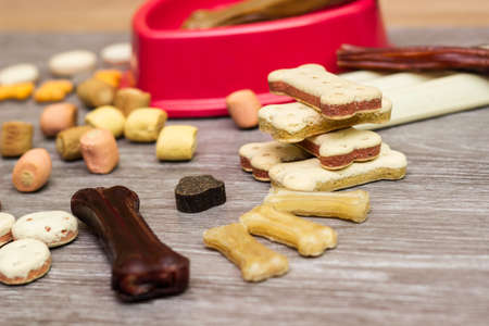 Dog treats and biscuitsの写真素材