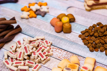 Dog treats and biscuitsの写真素材