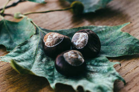Raw Chestnuts on a rustic wooden backgroundの写真素材