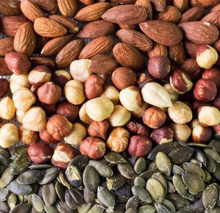 Bowl full of walnuts, hazelnuts, brazil nuts, and almonds