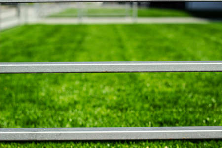 Lush green lawn, landscaping backyard or lawn garden. Grass through fence backgroundの写真素材