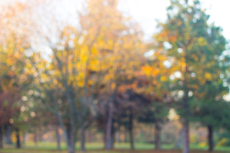 City park bokeh background. Abstract blur image of walkway in the parkの写真素材