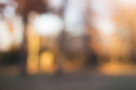 City park bokeh background. Abstract blur image of walkway in the parkの写真素材