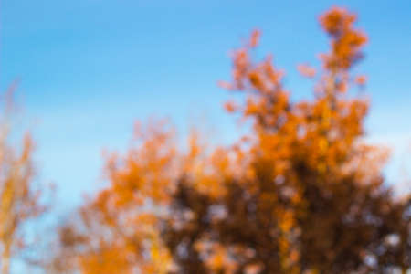 City park bokeh background. Abstract blur image of walkway in the parkの写真素材