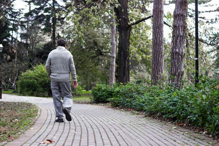 Senior man walking and relaxing in park. Walking away, relaxing, rear viewの写真素材