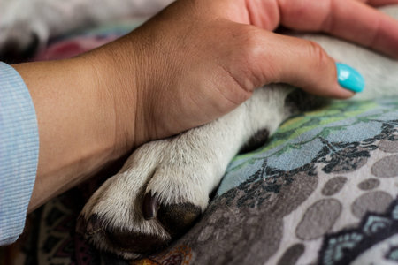 Great love between human and dog