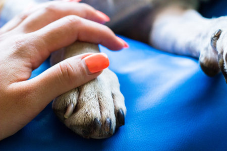 Protective woman embracing his dog, priceless moments