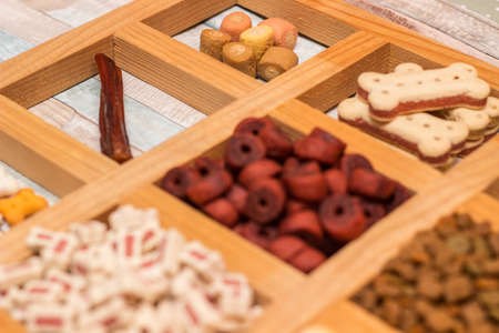 Pet food, snacks for dogs. Dog tasty colored biscuits on wooden backgroundの写真素材