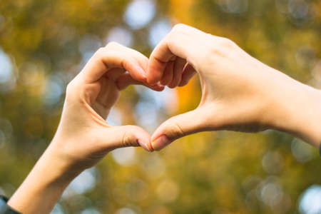 Heart symbol with hands. Nature bokeh backgroundの写真素材