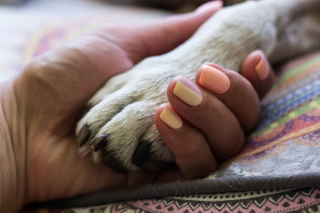 Woman enjoys spending time with her dogの写真素材