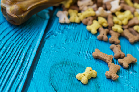 Dog bones and biscuits on turquoise wooden backgroundの写真素材