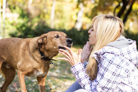 Young woman embracing her dogの写真素材