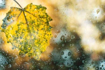Nature background with copy spaceの写真素材