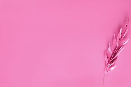 Romantic pink painted olive branch. Surreal olive leaves background with copy space. Minimal beautiful floral summer design.の写真素材
