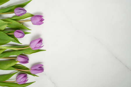 Beautiful purple tulips on light marble background with copy space. Space for text. Motherâs day, greeting card, birthday celebration, womenâs day. Spring minimal concept.の写真素材